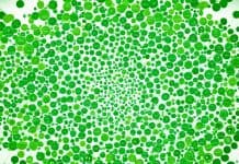 Green Circle on LinkedIn Explained: Its Meaning Impact of Green Circle on Networking