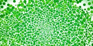 Green Circle on LinkedIn Explained: Its Meaning Impact of Green Circle on Networking